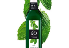 Xarope 1883 Routin Menta Verde - Menthe Mint 1000ml